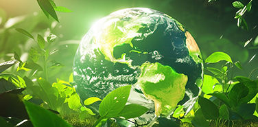 Sustainability