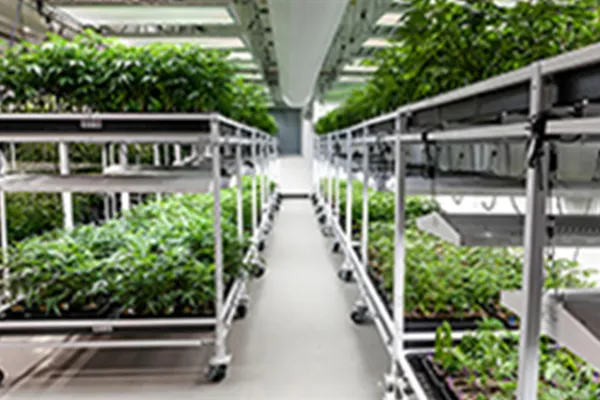 Hydroponics System