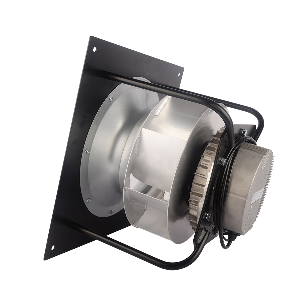 LWBE3G355-138PT-05