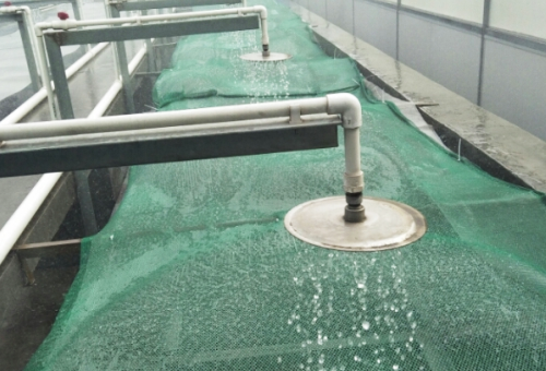 Spray test