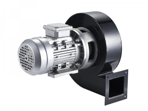 LONGWELL LWDF-2.5-II Exhaust Blowers