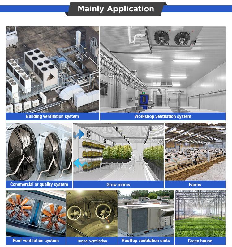 Main Application