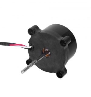 LONGWELL Customizable 12v 24v 48v Brushless Dc Motor 3000rpm Fan Heater Dc Motor