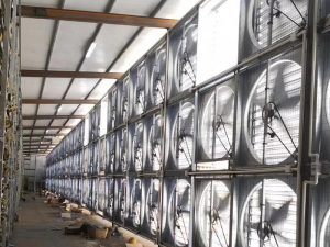 LONGWELL Wall Mounted Industrial Agricultural Poultry Axial Flow Exhaust Fan Greenhouse Ventilation Fans for Poultry House