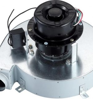 ODM OEM Factory Low Price Industrial Centrifugal Fan AC DC EC Gas burner Blower