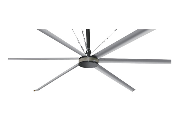 Ceiling Fan