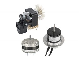 Motors & Drive System