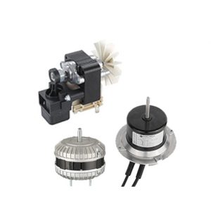 Motors & Drive System
