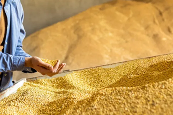 Process&Drying Equipment