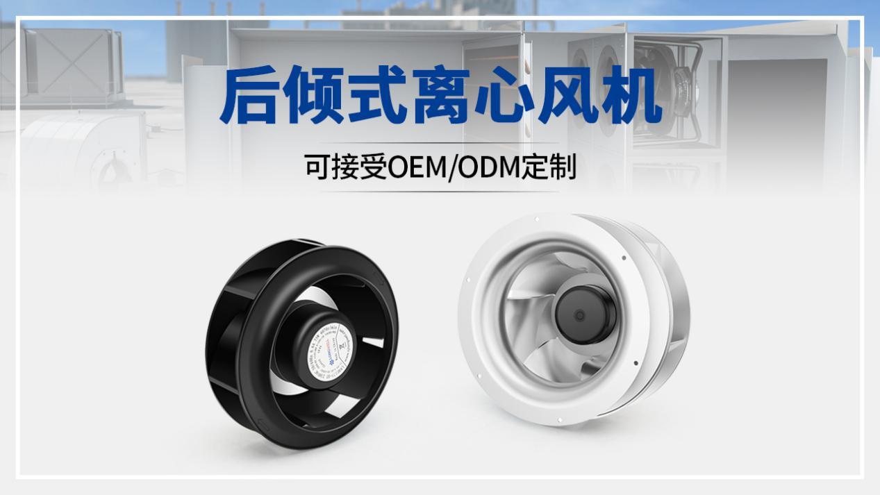 ---text---How-to-Select-the-Right-Backw