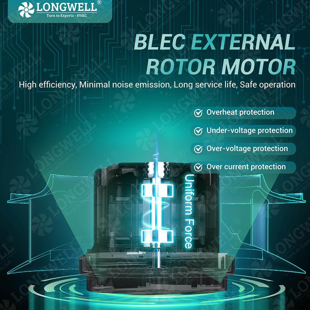 BLEC Motor