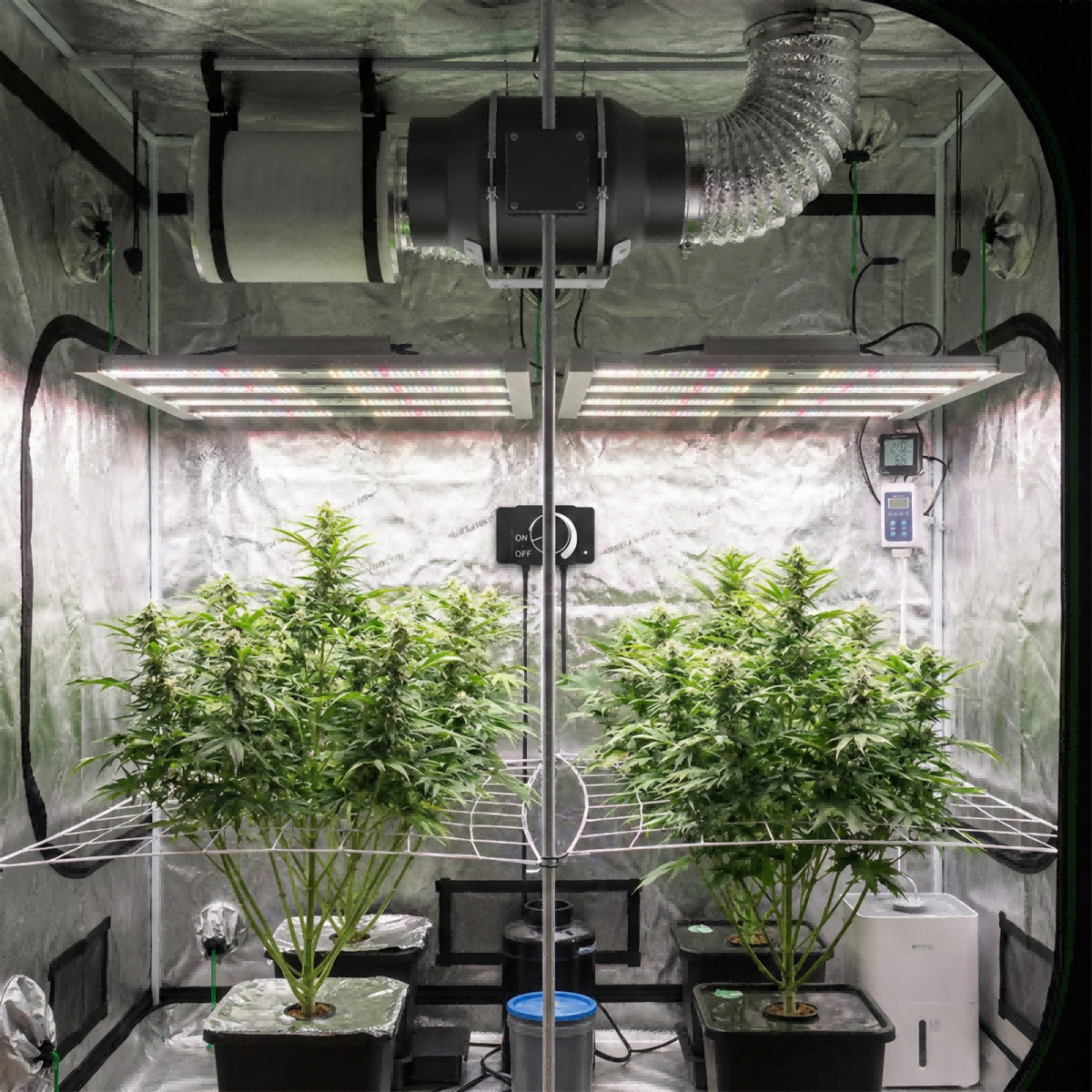 Grow-tent-1(1)(1)