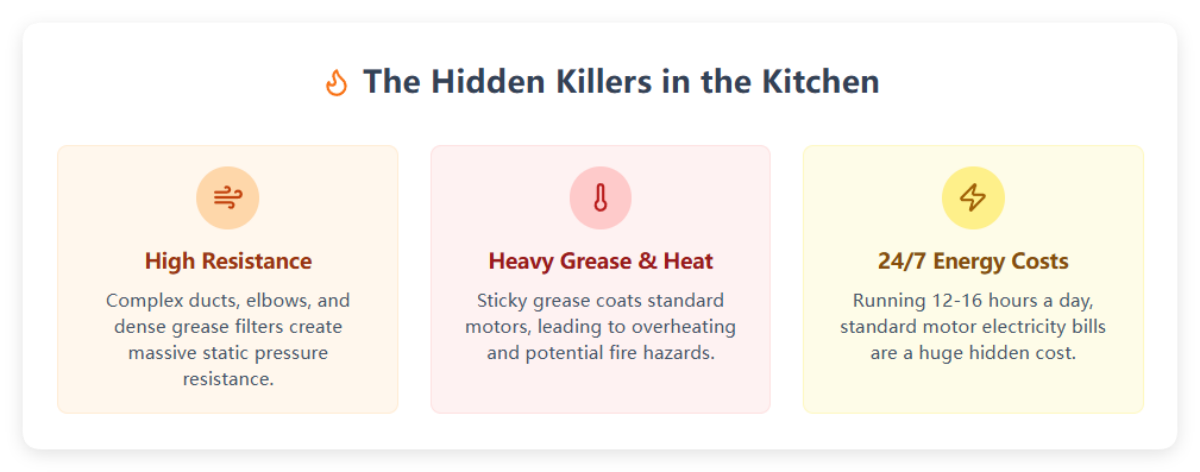 The Hidden Killers in the Kitchen