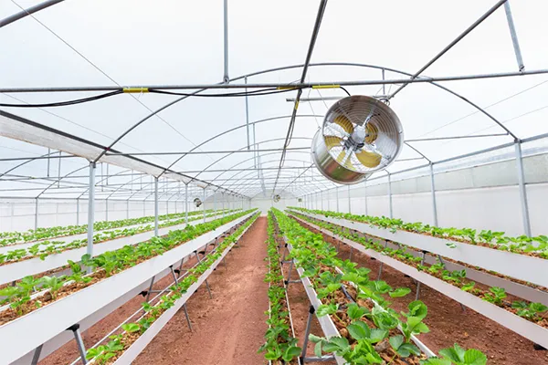 Agricultural