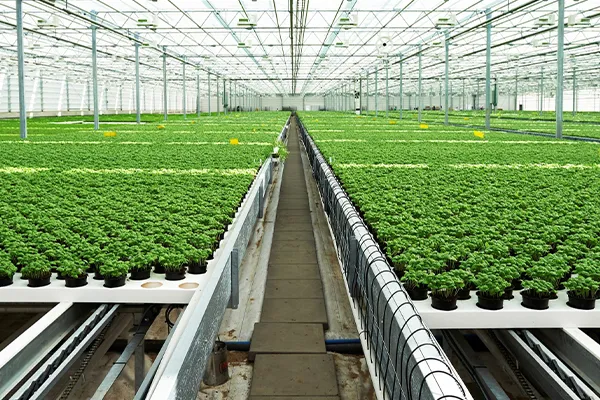 Farms